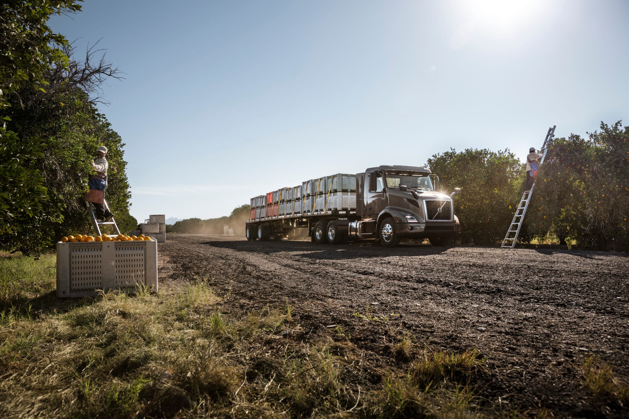 Harvest Prep in WA, OR & NorCal: Equipment Tips for Specialty Crops